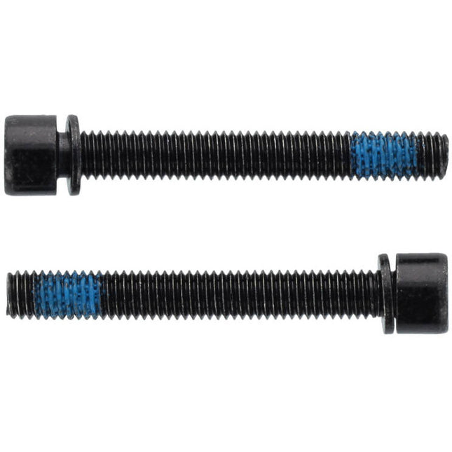 Elvedes flatmount bouten m5 × 38mm 1 paar