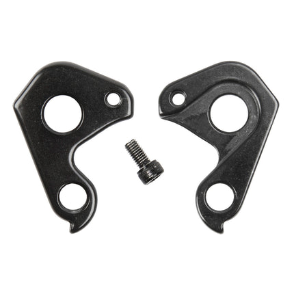 Brass bearing derailleur hanger type B4