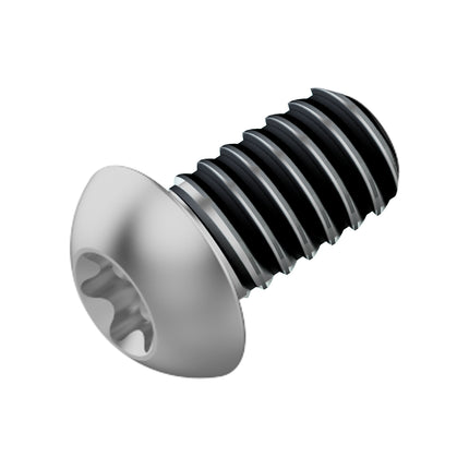 Fahrwerker remschijf bout M5x10 LEV tl (120 stuks)