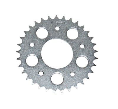 Hoofd afbeelding