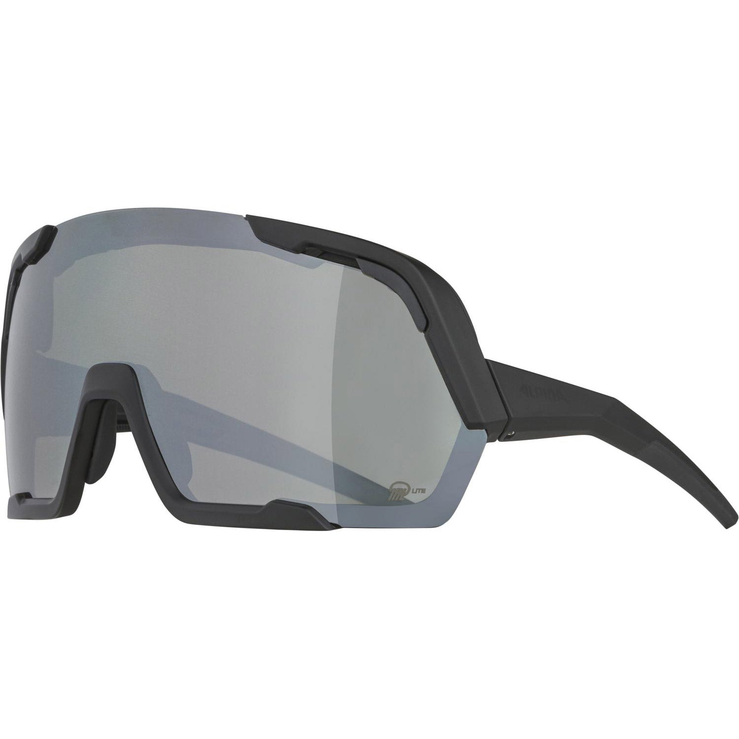 Alpina Sports sportbril Rocket Bold Q-lite zwart/zilver