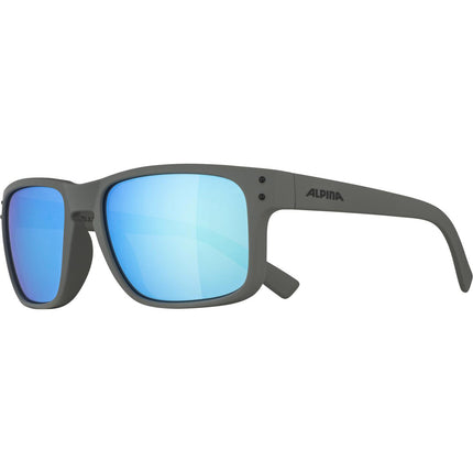 Lunettes Alpina Sports Kosmic gris