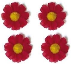 Basil "FLOWER" 4 MAGRIETJES Rood 50188