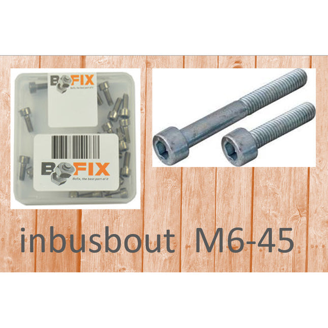 Bofix inbusbout M6x45 verzinkt (12st)