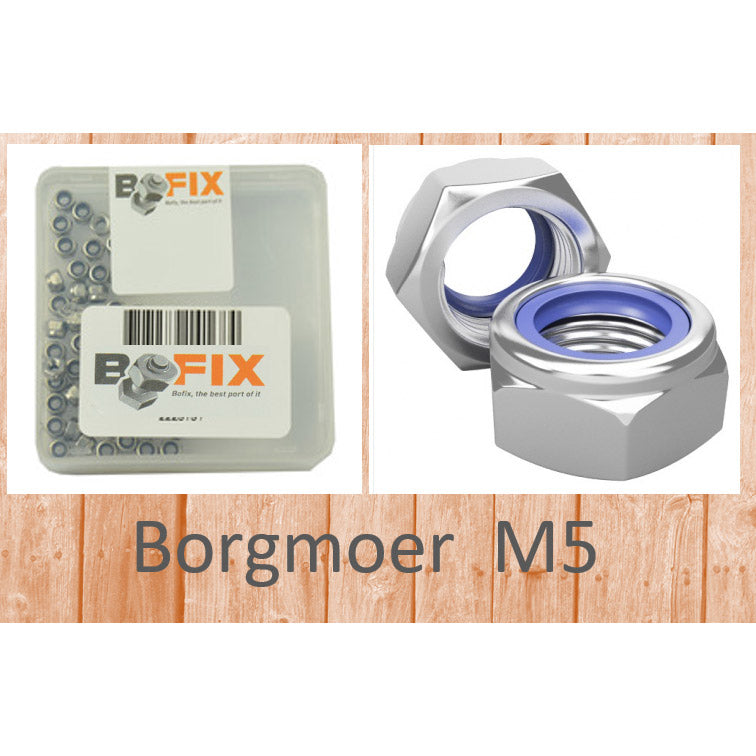 Bofix borgmoer M5 verzinkt (50st)