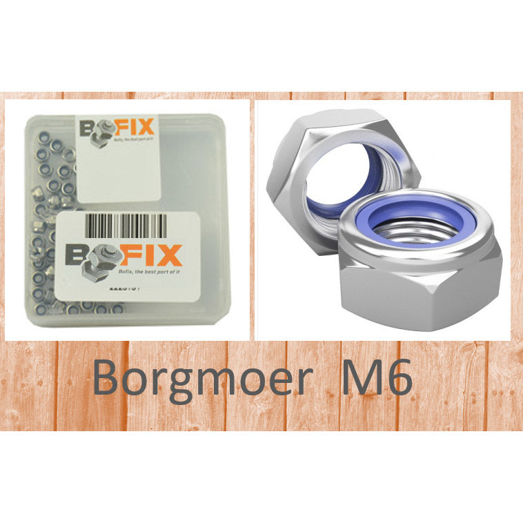 Bofix borgmoer M6 verzinkt (50st)