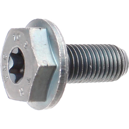 Crank bolt for cotterless bottom bracket Torx silver