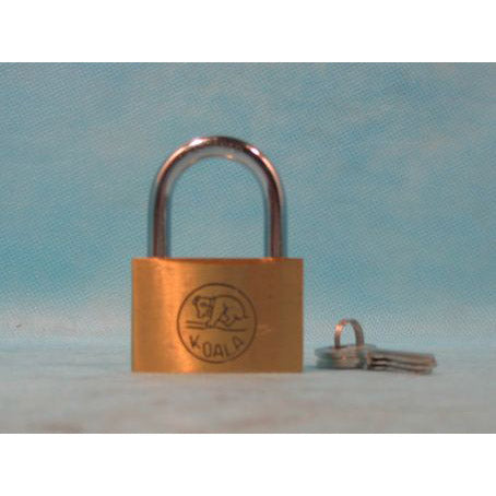Hangslot 50mm