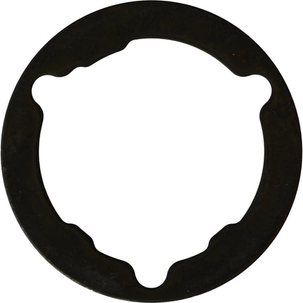 Miche vulring laatste positie  shim 11v primato cassette