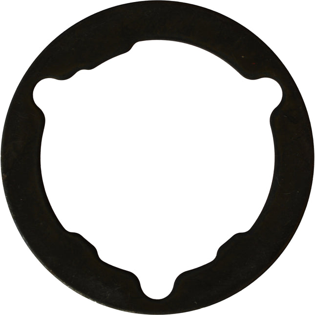 Miche vulring laatste positie  shim 11v primato cassette