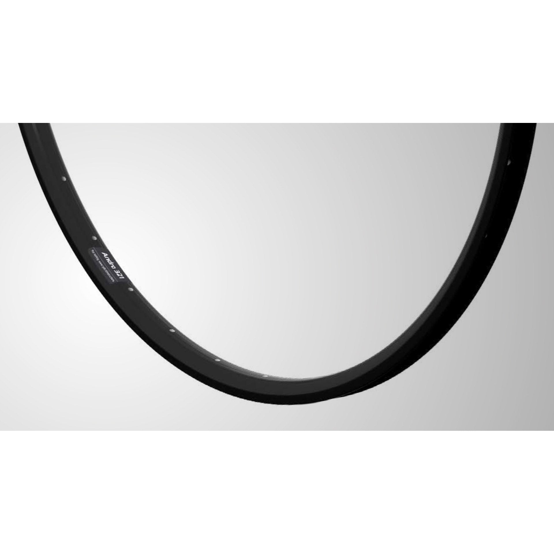 Ryde velg Andra 321 28"/622 32g 14G disc zwart