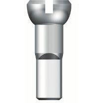 Écrou de rayon Sapim 13 (500 pièces) 14,5 mm de haut