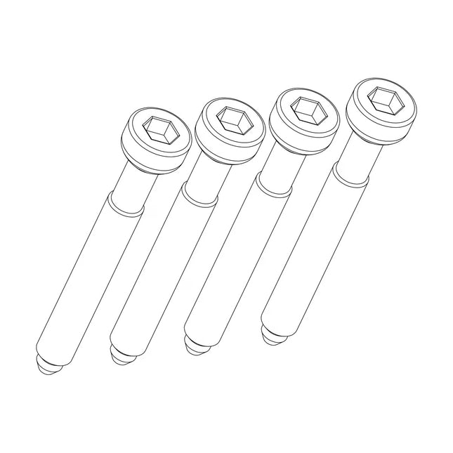 Thule boutenset 1500052736 - vier M6x44-bouten