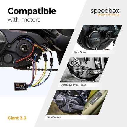SpeedBox Giant 3.3, overzicht van motoren en aansluitingen